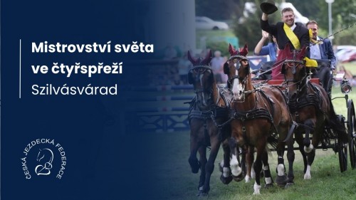 FEI mistrovství světa čtyřspřeží