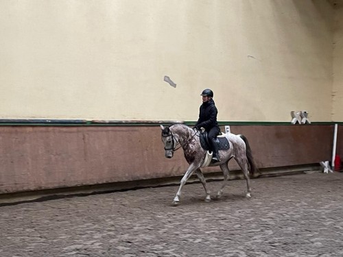 Víkendové soustředění mladých vytrvalců ve Všeticích